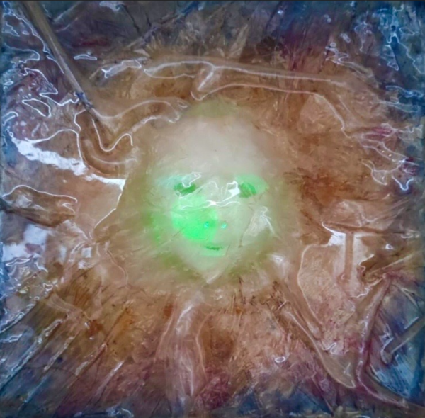 IL VISIBILE NELL'INVISIBILE UMANO
